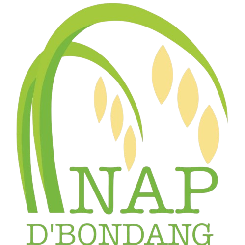inap-d-bondang-api logo